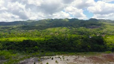 Tropikal bitki örtüsü olan tepeler ve dağlar. Bohol, Filipinler.