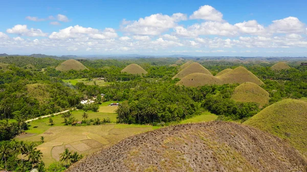 Colinas de Chocolate.Bohol Filipinas. — Foto de Stock