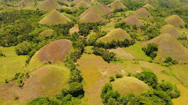 Colinas de Chocolate.Bohol Filipinas. — Foto de Stock