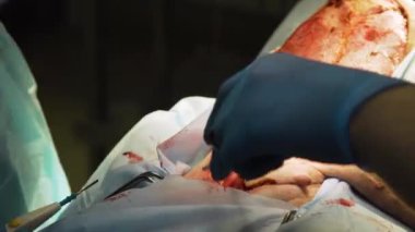 Veteriner kliniğinde bir köpeğin cerrahi müdahalesi
