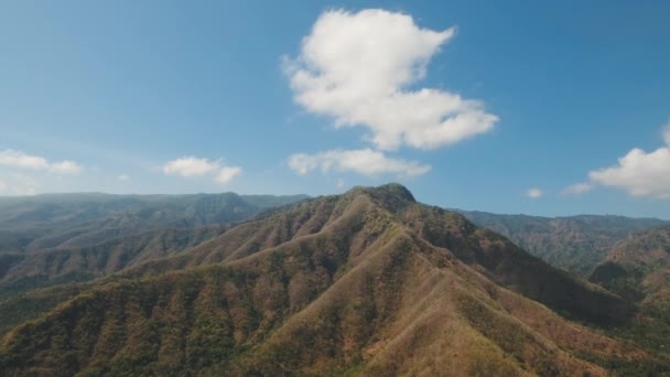 Widok górskiego krajobrazu lasu. Bali — Wideo stockowe