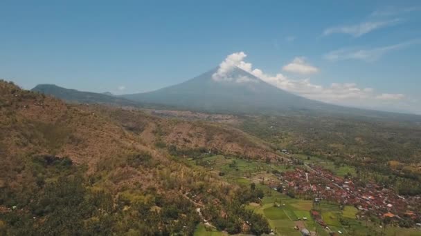 Blick auf die Bergwaldlandschaft. Bali — Stockvideo
