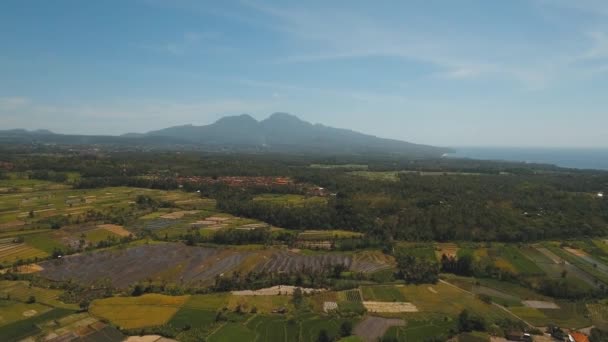 Berglandschap landbouwgronden en dorp Bali, Indonesië. — Stockvideo