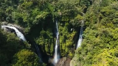 Güzel tropik şelale. Bali, Endonezya.