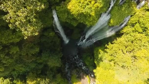 Bela cachoeira tropical. Bali, Indonésia. — Vídeo de Stock