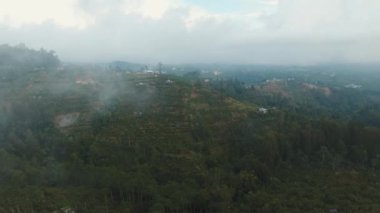 Dağlarda, bulutların arasında tarım arazileri. Bali, Endonezya.