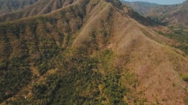 Dağ ormanlarının manzarası. Bali