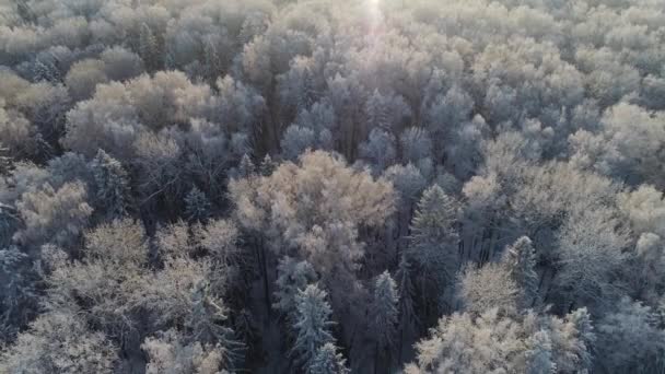 시골의 겨울 풍경 — 비디오