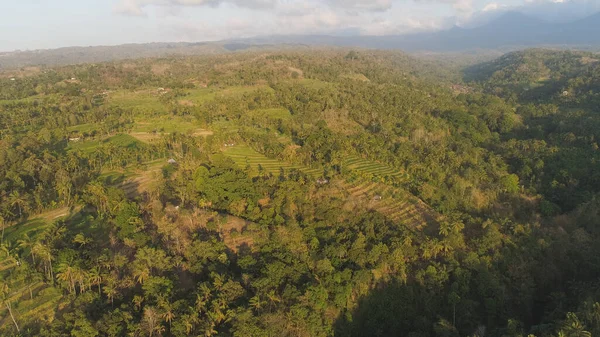Paisaje tropical con tierras agrícolas en indonesia —  Fotos de Stock