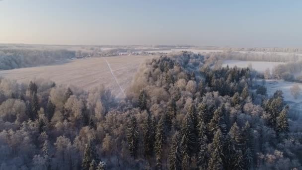 Paisaje invernal en el campo — Vídeos de Stock