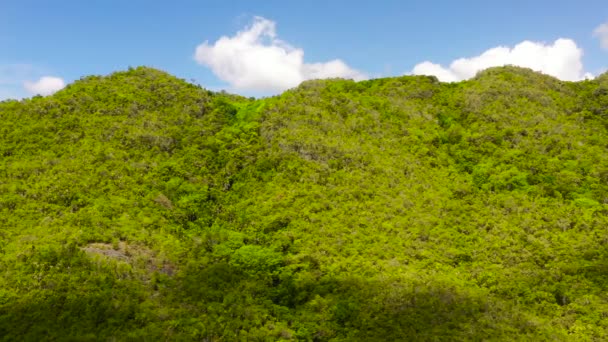 Kullar och berg med tropisk vegetation. Bohol, Filippinerna. — Stockvideo