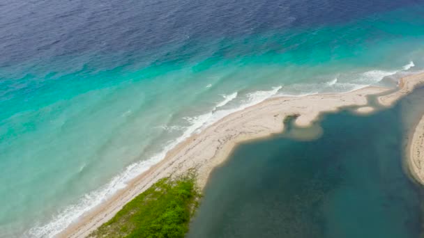 Belle plage et mer turquoise. Bohol, Philippines. — Video