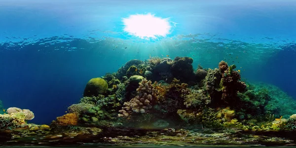 Recifes de corais e peixes tropicais subaquáticos. Filipinas. Vista de 360 graus. — Fotografia de Stock