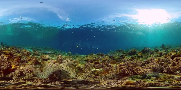 Recifes de coral e peixes tropicais. Filipinas. Vista de 360 graus. — Fotografia de Stock