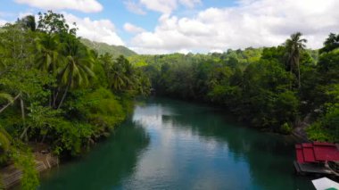 Ormandaki Loboc nehri. Bohol, Filipinler.