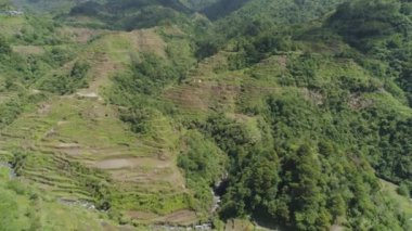 Dağlarda pirinç terasları. Filipinler, Batad, Banaue.