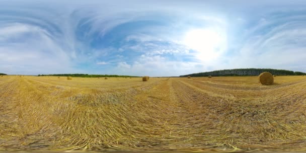Campo con pagliai dopo il raccolto. Paesaggio rurale. Vista a 360 gradi. — Video Stock