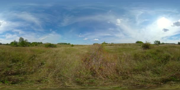 Paysage avec prairie d'été. Vue à 360 degrés. — Video