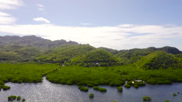 Heuvels en bergen met tropische vegetatie. Bohol, Filipijnen. — Stockvideo