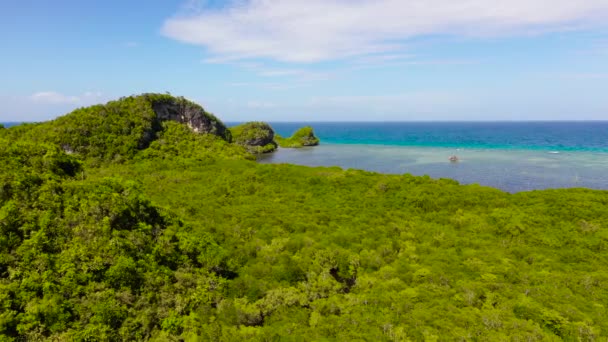 Ακτή με μαγκρόβια και θάλασσα. Bohol, Φιλιππίνες — Αρχείο Βίντεο