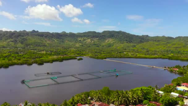 Viskwekerij met vijvers. Bohol, Filipijnen — Stockvideo