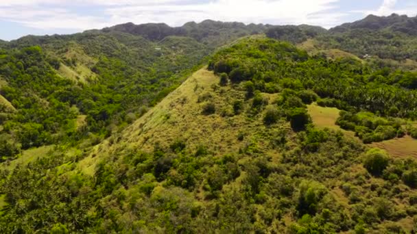 Colline e montagne con vegetazione tropicale. Bohol, Filippine. — Video Stock