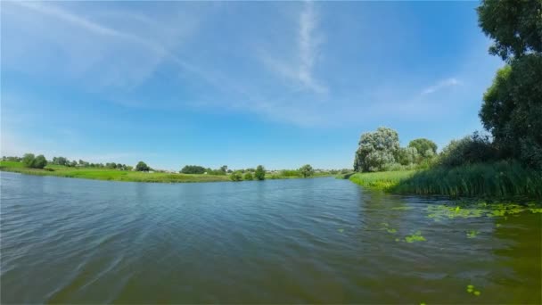 Summer landscape with lake. — Stock Video