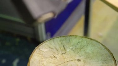 Keskiyle odun oymak. Marangozlar atölyesi.