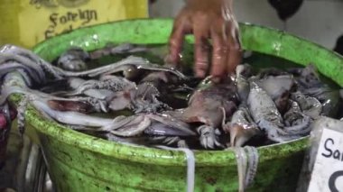 Piyasada kovadaki mürekkep balıkları, Filipinler.