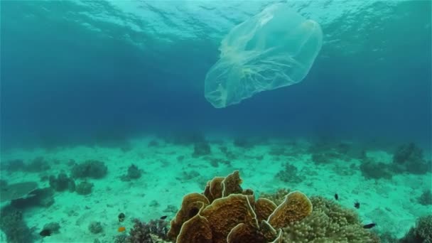 Recife de coral poluído com saco plástico. — Vídeo de Stock