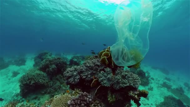 Recife de coral poluído com saco plástico. — Vídeo de Stock