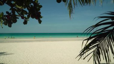 Tropik kumlu sahil ve mavi deniz, Filipinler.