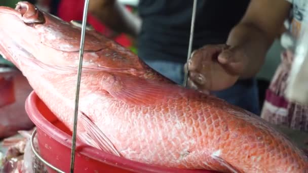 Pescado en escamas en el mercado de mariscos — Vídeo de stock