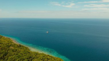 Hindistan cevizi ağaçları ve turkuaz lagün manzarası
