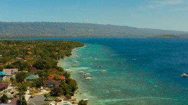 Cebu, Moalboal, Filipinler kıyıları.