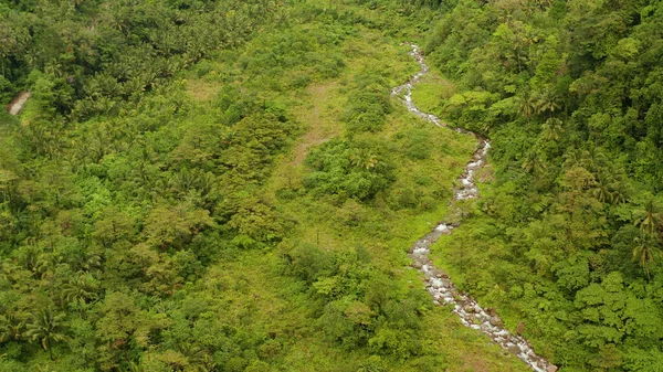 Річка тече в гірських джунглях (Філіппіни, Камігуїн).. — стокове фото