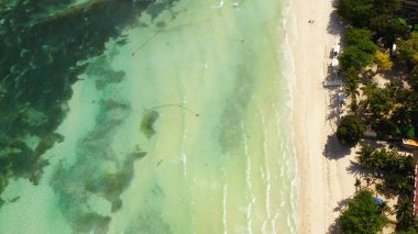 Kumsal ve tropikal deniz. Panglao Adası, Filipinler.