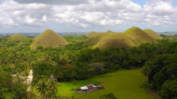 Colinas de Chocolate.Bohol Filipinas. — Foto de Stock