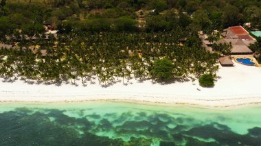 Kumsal ve tropikal deniz. Panglao Adası, Filipinler.