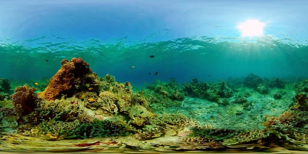 The underwater world of a coral reef. Philippines. Virtual Reality 360 — Stock Photo, Image