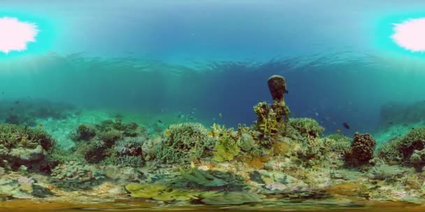 Récif corallien avec poissons sous-marins. Philippines. Réalité virtuelle 360 — Video