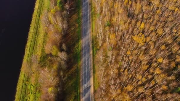 Route dans la forêt d'automne vue aérienne. — Video