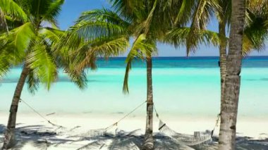 Kumsal ve tropikal deniz. Panglao Adası, Filipinler.