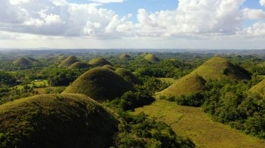 Çikolata tepeleri. Bohol Filipinleri..