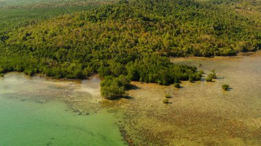 Tropik adanın kıyı şeridi. Balabac Adası, Palawan