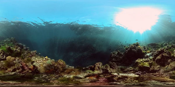 Recifes de corais e peixes tropicais subaquáticos. Filipinas. Vista de 360 graus. — Fotografia de Stock