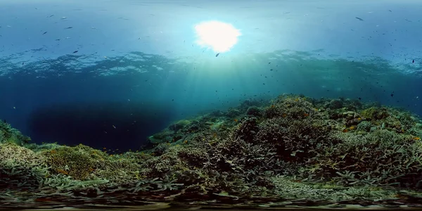Rafa koralowa i tropikalne ryby. Filipiny. Wirtualna rzeczywistość 360 — Zdjęcie stockowe