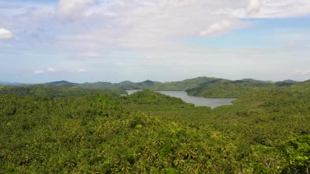 Colline con foresta pluviale e laghi marini, vista dall'alto. La natura delle Filippine, Samar — Video Stock
