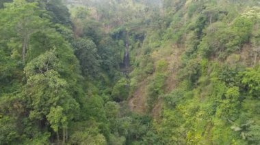 Güzel tropik şelale Bali, Endonezya.