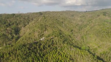 Tropikal manzara yağmur ormanları ve dağlar